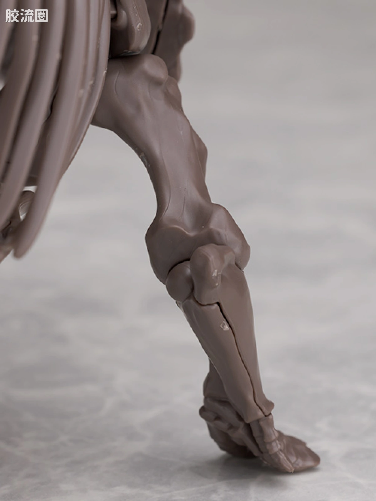 万代综合拼装模型系列 Imaginary Skeleton系列 三角龙 - 图片
